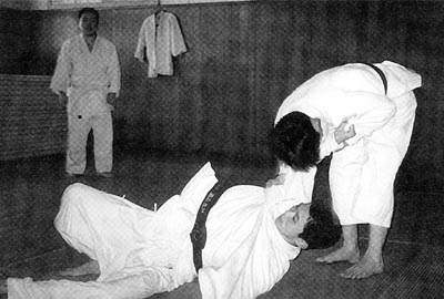 Sap7.jpg (27876 bytes)