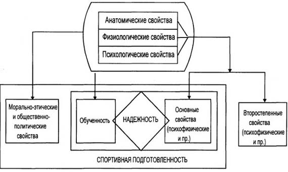 p40_pic.jpg (32857 bytes)