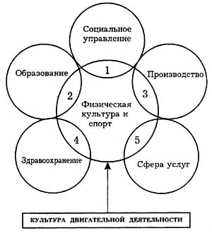 концепция конверсии избранных элементов и технологий спортивной тренировки была предложена. Смотреть фото концепция конверсии избранных элементов и технологий спортивной тренировки была предложена. Смотреть картинку концепция конверсии избранных элементов и технологий спортивной тренировки была предложена. Картинка про концепция конверсии избранных элементов и технологий спортивной тренировки была предложена. Фото концепция конверсии избранных элементов и технологий спортивной тренировки была предложена